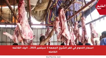 أسعار اللحوم في كفر الشيخ الجمعة 5 سبتمبر 2025.. إليك القائمة الكاملة